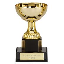 Westbury Gold Trophy Cup 011C